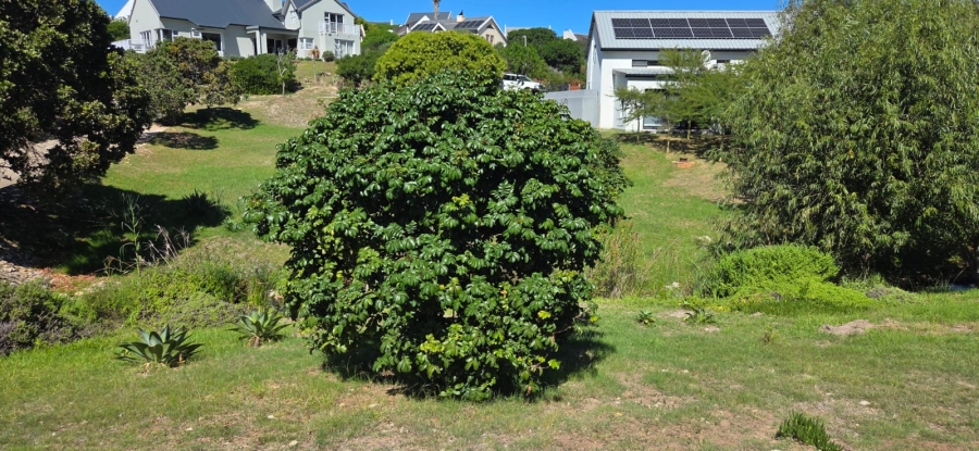 0 Bedroom Property for Sale in Stilbaai Wes Western Cape